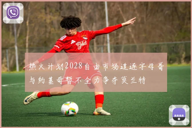 热火计划2028自由市场追逐字母哥与约基奇暂不全力争夺莫兰特