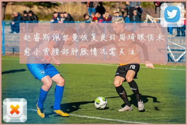 赵睿斯佩尔曼恢复良好周琦眼伤未愈小曾腰部肿胀情况需关注